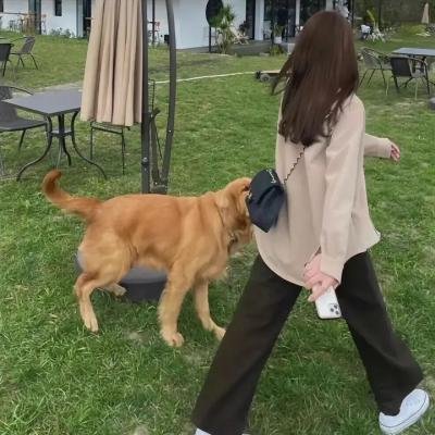杨善洲